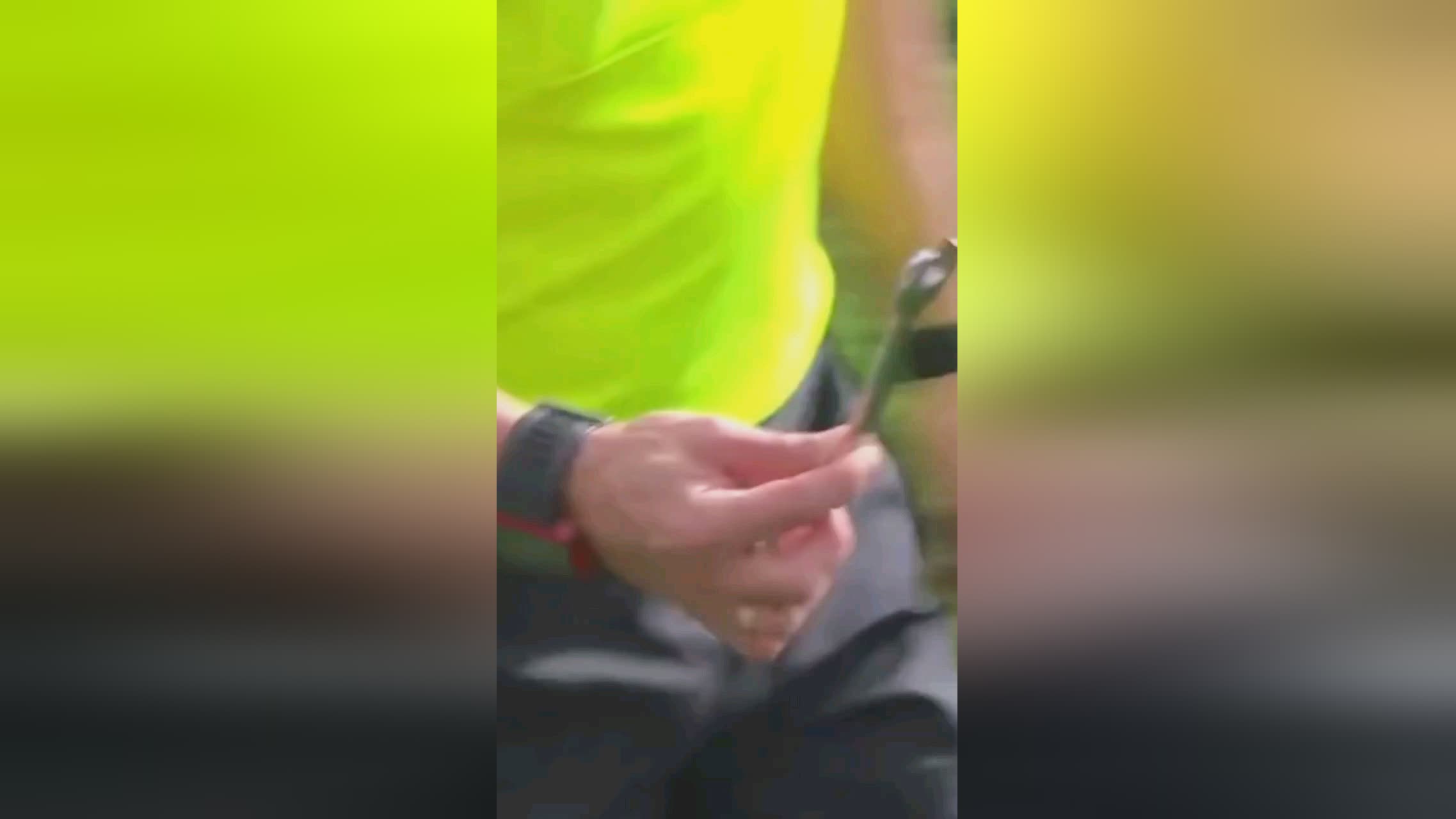 因素在这