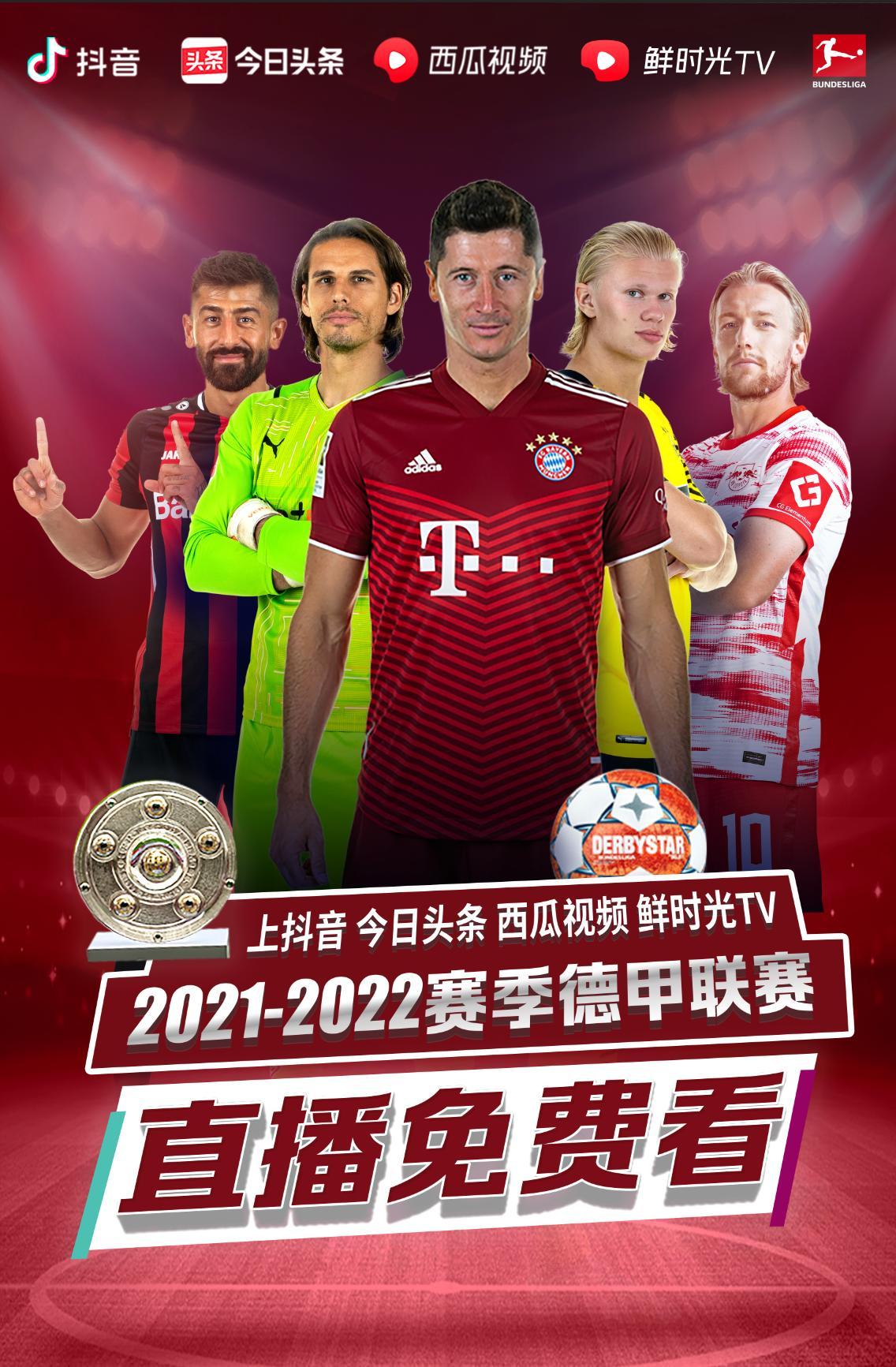 牙的征程